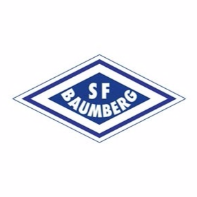 VFB漢堡格